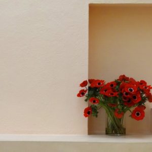 pola sur coton par Georges